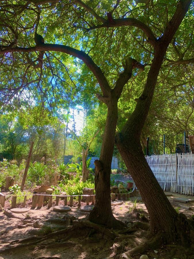 The Little Hideaway Guesthouse Stellenbosch Kültér fotó