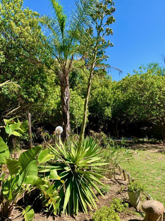 The Little Hideaway Guesthouse Stellenbosch Kültér fotó